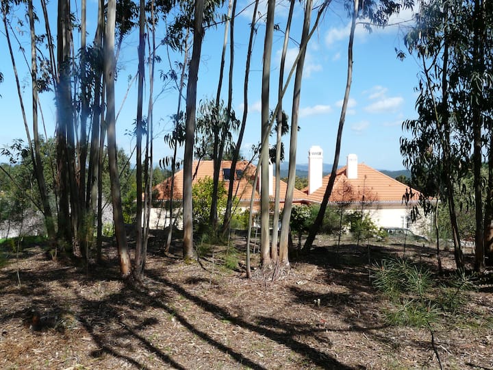 Quinta Da Peninha With Lake View - Madera