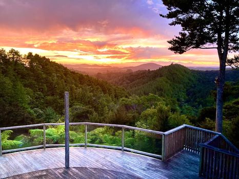 Hikurangi Lodges at the Best Price cozycozy