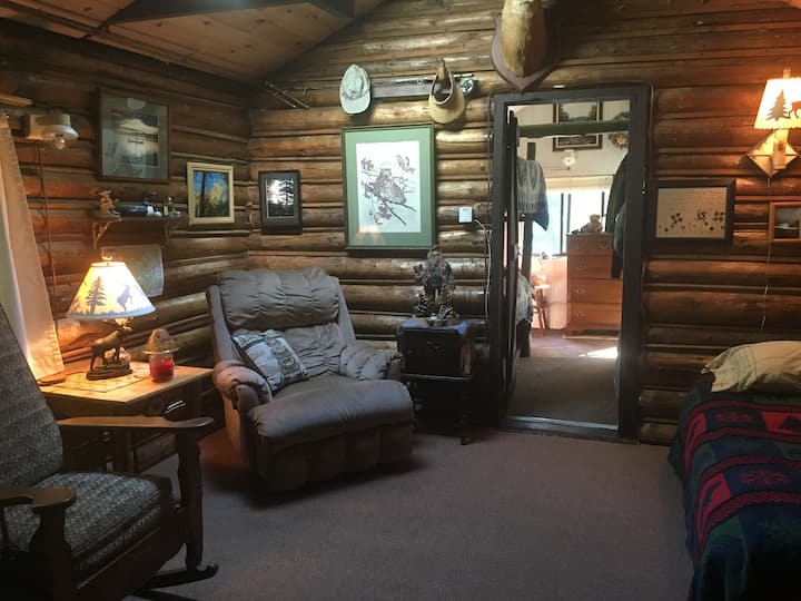 Cozy, Quiet, Serene, Relaxing Adirondack Cabin - Indian Lake, NY