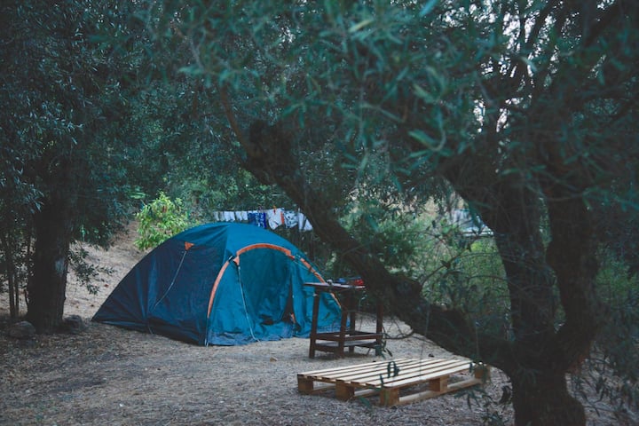 Nomad Base - Campervans Parking - Portalegre