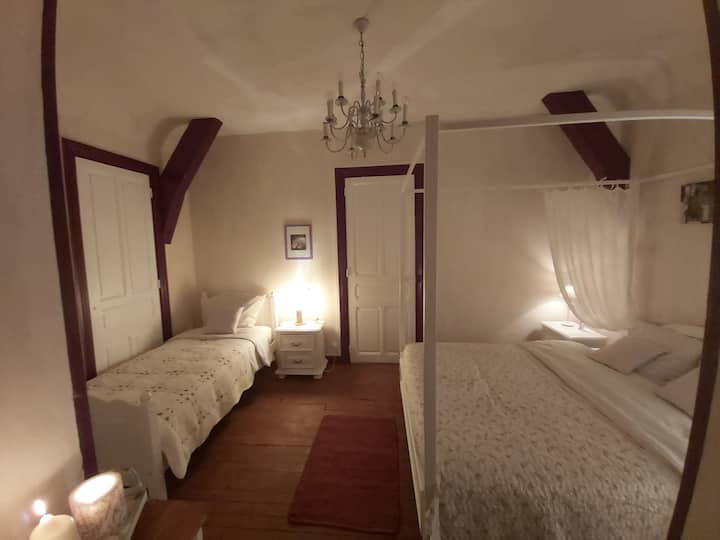 Appartement Exceptionnel Bâtisse Xix Siecle 🏰🌷⛰ - Le Puy-en-Velay