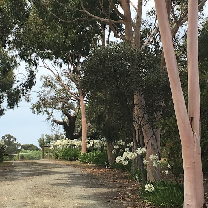 Lynwood Rural Retreat With Beautiful Relaxing Gardens & Animals. - Melbourne