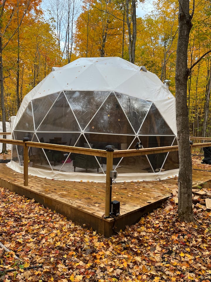 Forest Glamping Dome With Private Trails - Mariposa Folk Festival