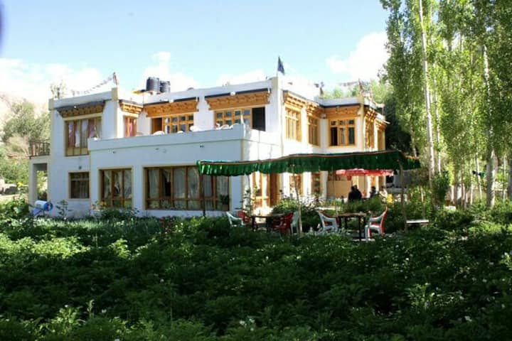 Green Villa Guest House 
Leh Ladakh - レー
