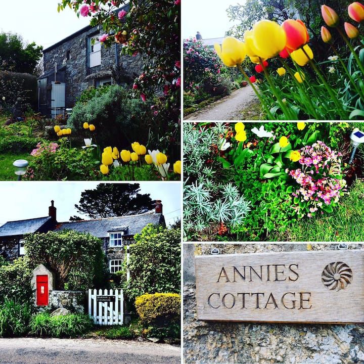 Annies Cottage - Porthcurno