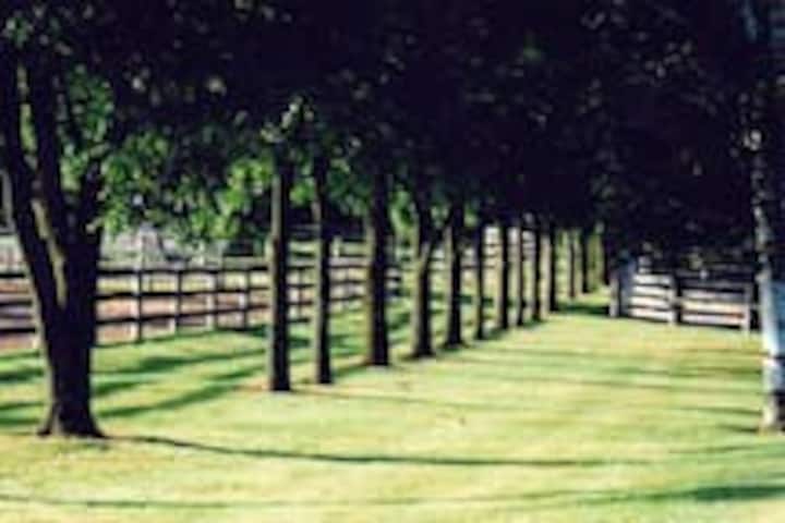 Poplar Lane Farm -  Twin Beds - St. George