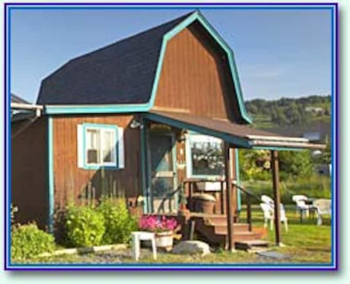 Forget-me-not Cabin - Homer