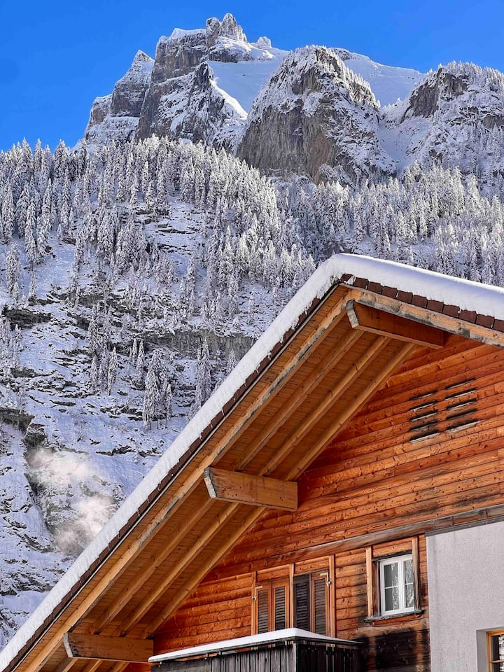 Alpine Chalet - Adelboden