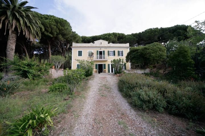 Charmante Villa In Einzigartiger Lage - Elba