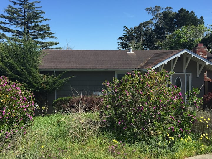 Modern Open In-law Close To Sfo - Daly City