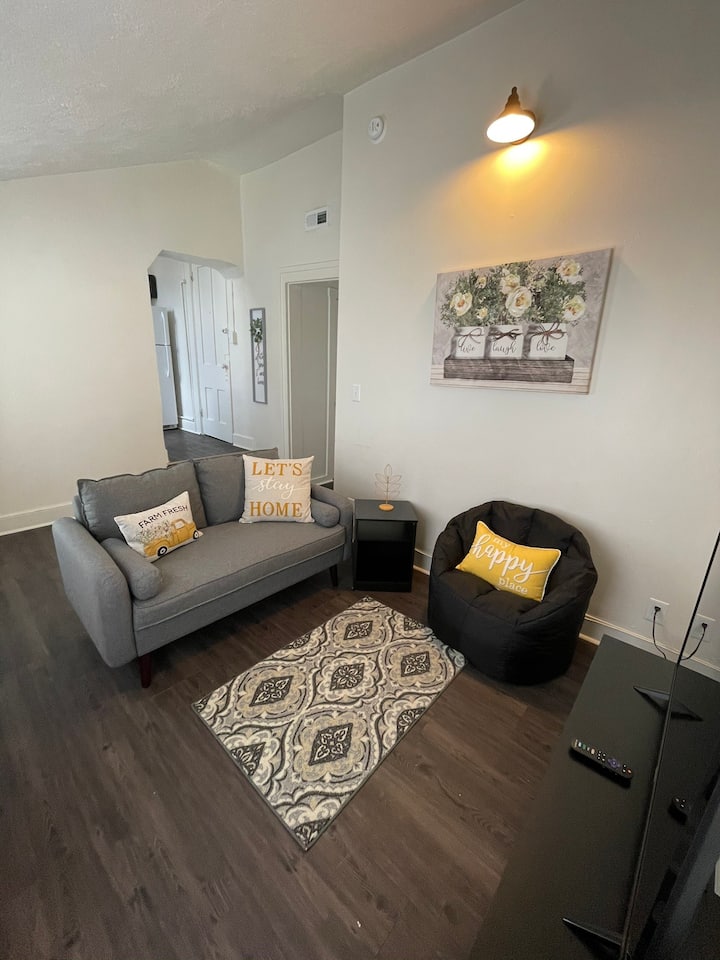 Modern City 1 Bedroom Apartment In Downtown Laf - West Lafayette, IN