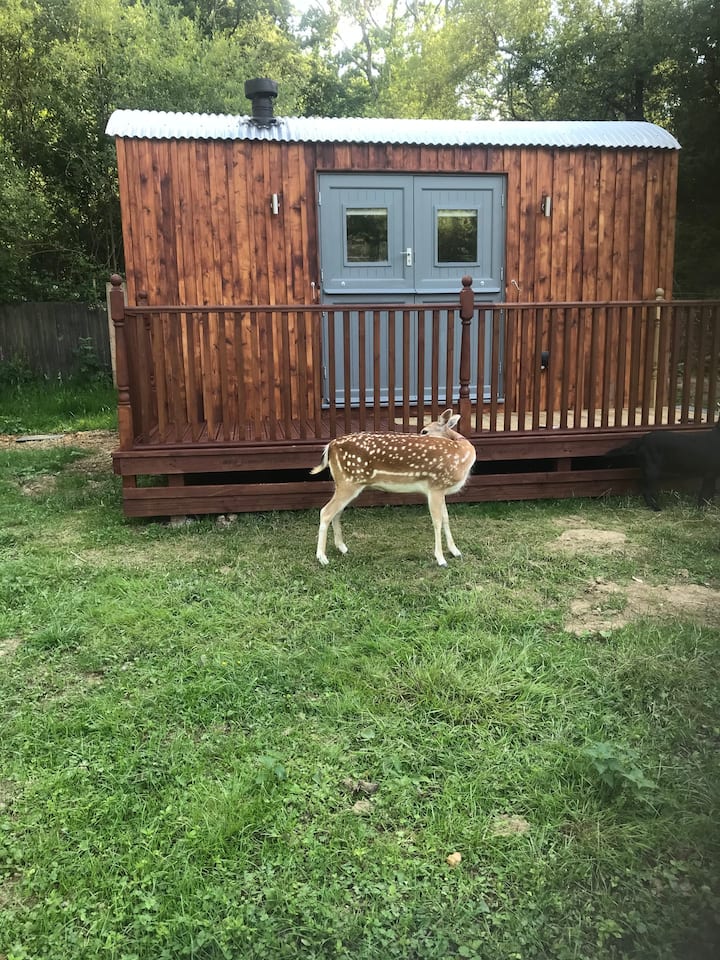 Self Catering Shepherds Hut With The Deer. - South Downs