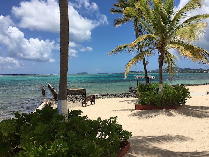 Beachfront-oceanviews-wifi-res/bar-splitac-appletv-pool-beachsupplies-snorkels - Saint Croix