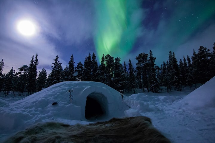 Igloo + Aurora Tour For 2 People - キルナ