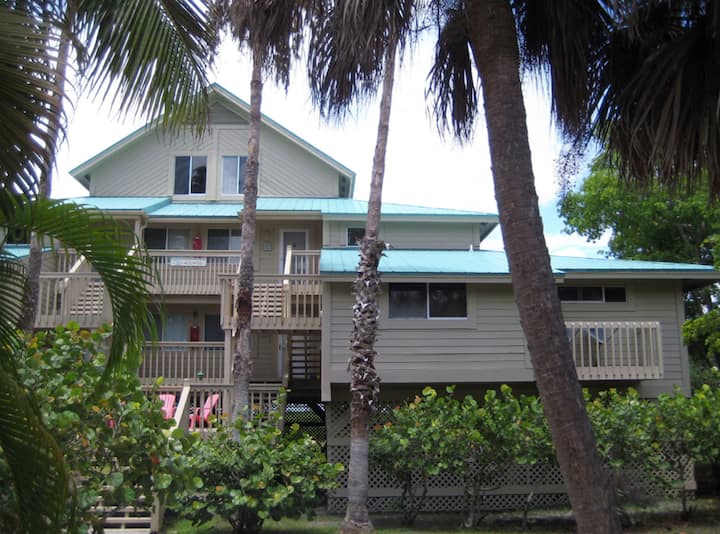 ★ Secluded Island - Waterfront Retreat With Pool ★ - Little Gasparilla Island