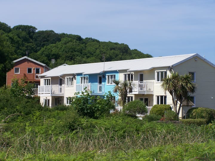 Tenby Lodge  With Stunning Views -  Max 4 Adults - Freshwater East