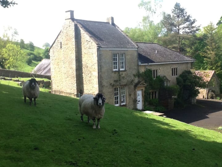 Authentic English West Country Home - Shepton Mallet