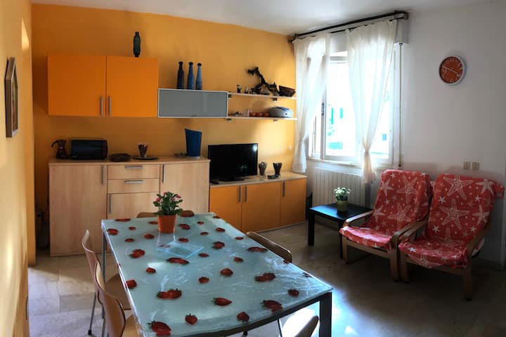 Appartamento Indipendente, 150 Metri Dal Mare - Cecina