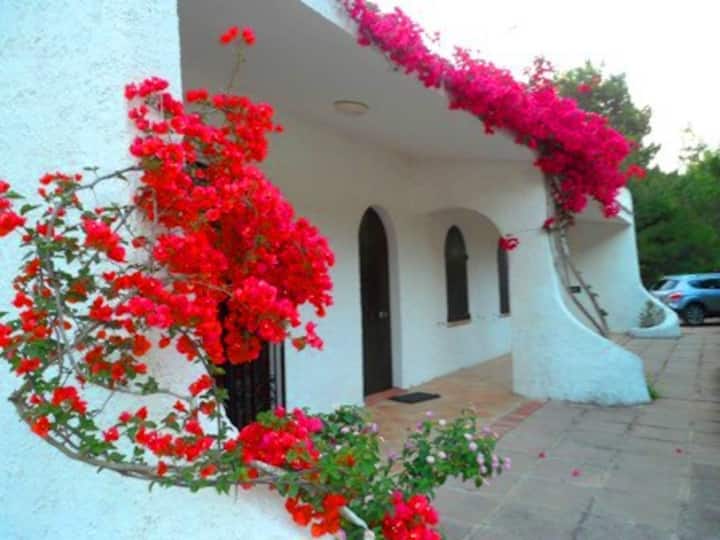 Indipendent Villa At Only 100  Mt. From The Beach - Castiadas