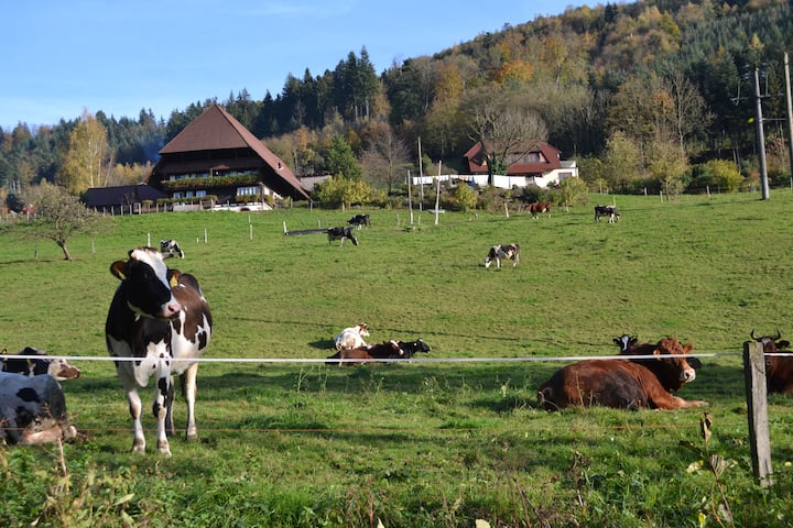 124m² Ferienwohnung Am Bauernhof Im Schwarzwald - Gengenbach
