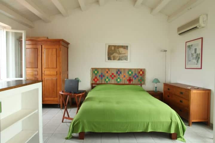 Historic Center, 2 Rooms, 2 Toilets, Terrace, Lift, Free Wi Fi - Palermo