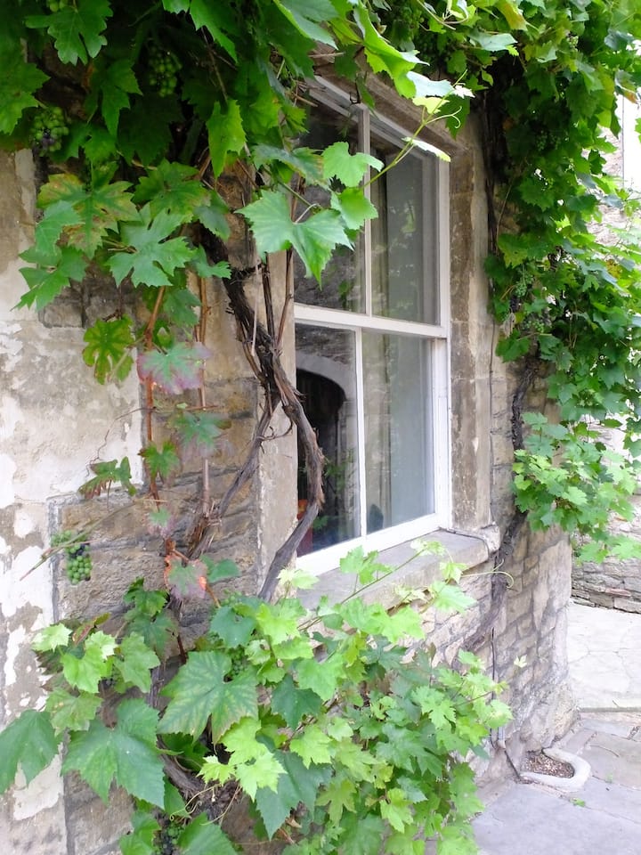 The Vine Cottage - Frome