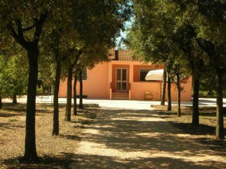 Country House Surrounded By Oranges - Bernalda
