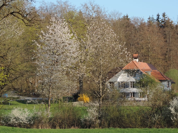 Guesthouse Im Wald Next To Bern - Freiburg