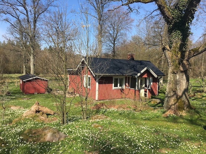 Small House On The Countryside - Perstorp