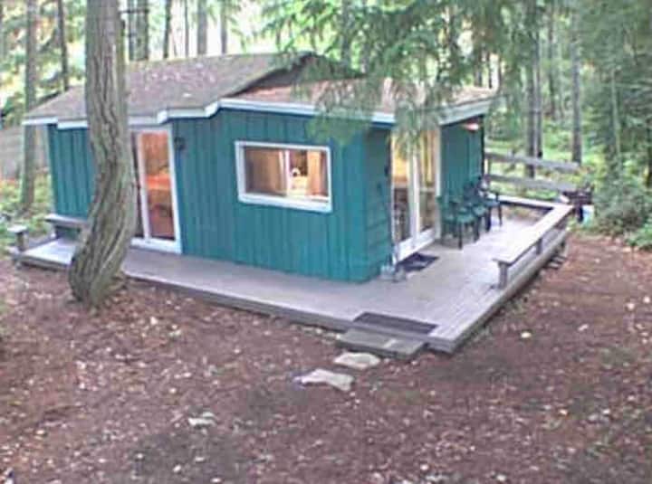 Tiny Cabin With Hood Canal&olympic Mountain Views - Silverdale, WA