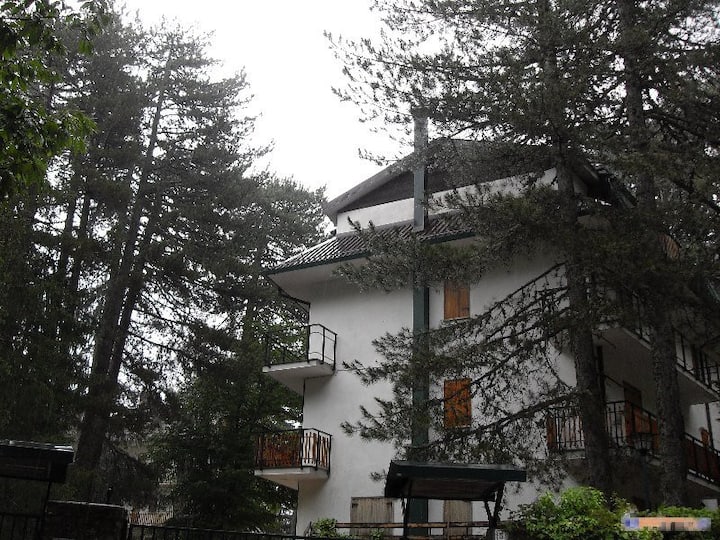 Appartamento In Stile Tirolese In Sila - Camigliatello Silano