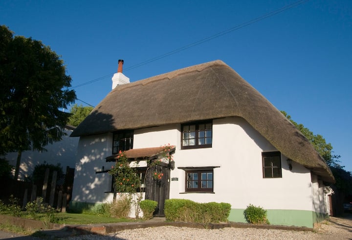 New Forest Cottage.  Very Close To Paulton’s Park. - Paultons Park Home of Peppa Pig World