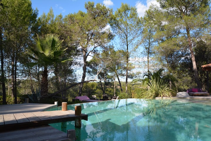 Villa Zen, Sunny Exotic Villa With Infinity Pool - Montpellier