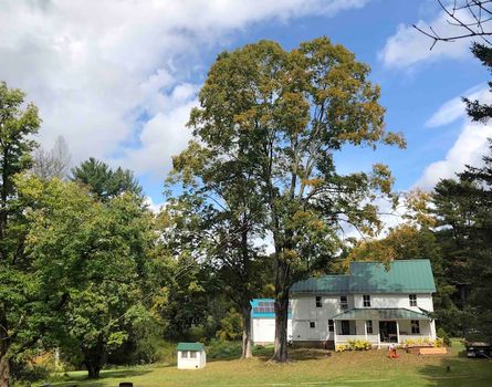 Find cheap vacation rentals in Bridgewater, CT cozycozy