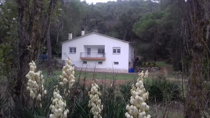 Espectacular Casa En Parque Natural Del Montnegre - サンタ・スザンナ