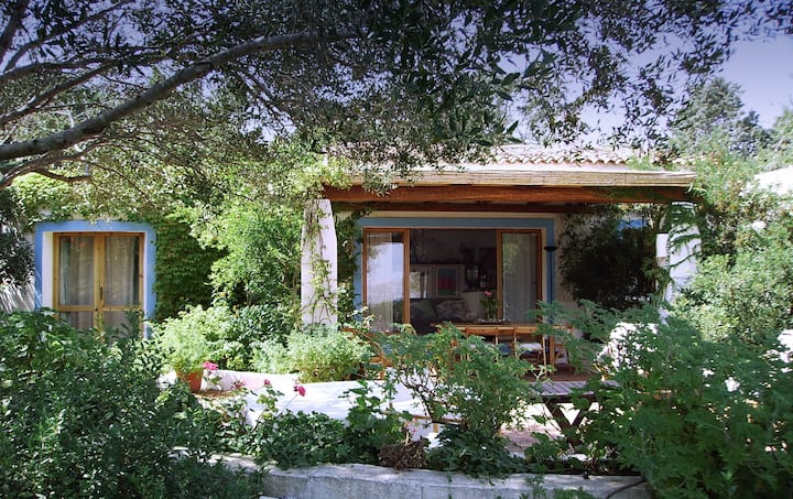Character House With Front Garden Of The Sea - La Maddalena