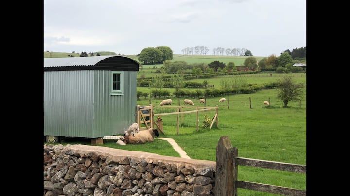 ‘Tin-tin’ Shepherd Hut, Newlands Farm, Ba5 3es - Somerset, UK