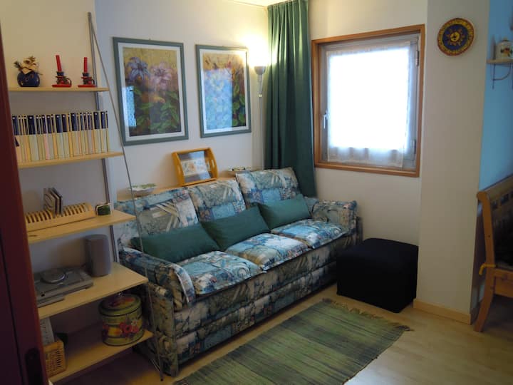 Bright Three-room Apartment - Passo del Tonale