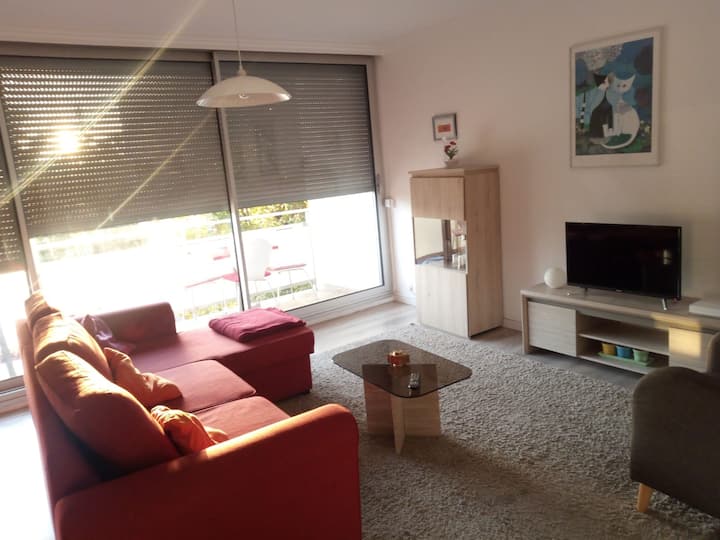 3 Room Appartment, Top Loc.,very Close To Basel - EuroAirport Basel-Mulhouse-Freiburg (BSL)