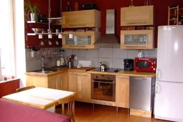 A Charming Flat In The Middle Of Volcanoes - Le Mont-Dore