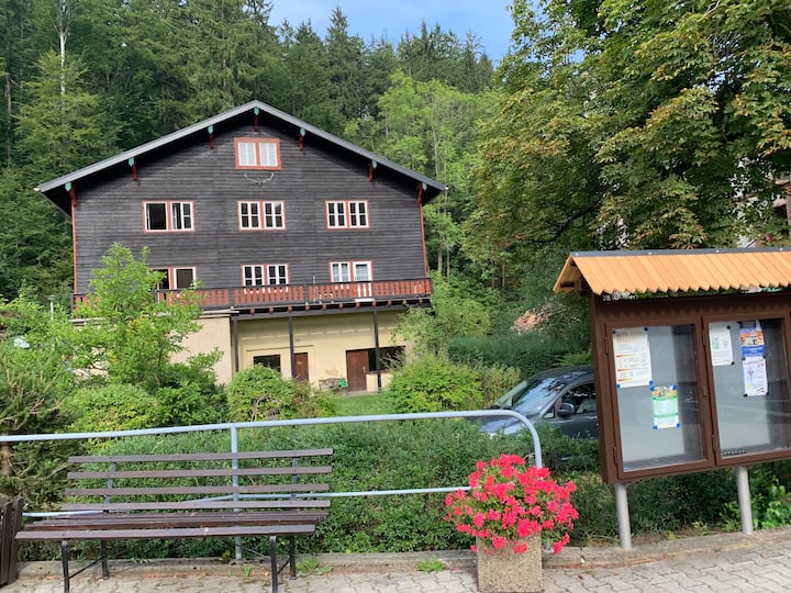 Schöne Ferienwohnung Im Kurort Kipsdorf - Altenberg
