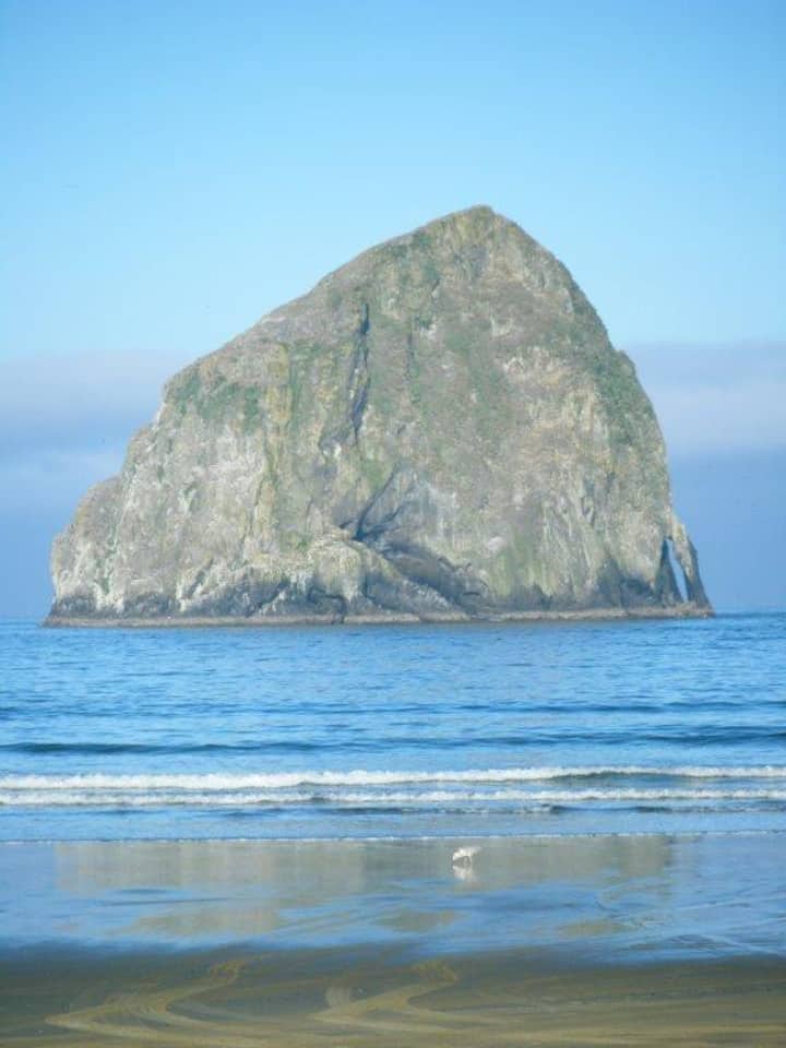 Beachhouse 3+bed W/private Hot Tub & Dog Friendly - Pacific City, OR
