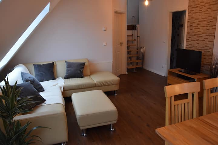 Comfortabel Nieuw 3.5 Kamer Appartement In Een Privé Huis - Münster