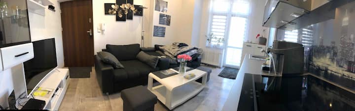 Smart-apt Komfortowe Mieszkanie W Centrum Katowic - カトヴィツェ