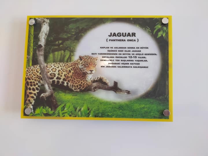 Pantera Evleri Jaguar(no : 2) - Karaburun