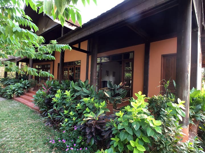 Jungle House - Cottage  (Dinner/b&b) - Vientiane