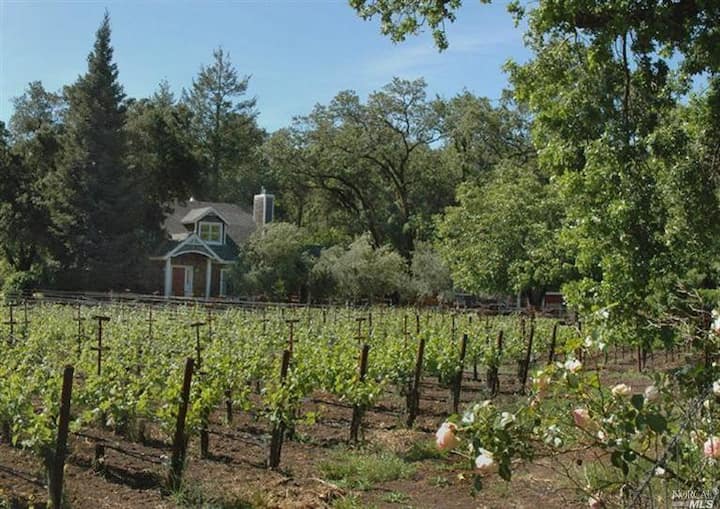 Napa Valley Wine Country Retreat - Pavel Vineyard - Pope Valley, CA