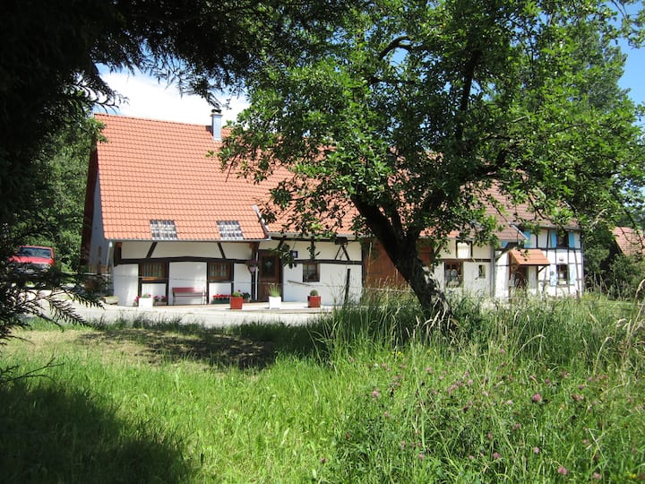 La Grange De Bretten - Altkirch