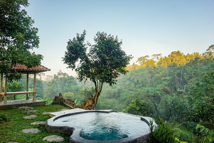 Tranquil Cottage 1 Br Private Pool Valley View - Bali