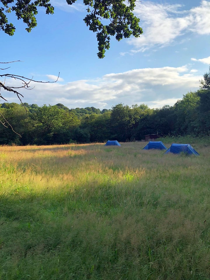 Wild Camping In A Somerset County Wildlife Site - Chard